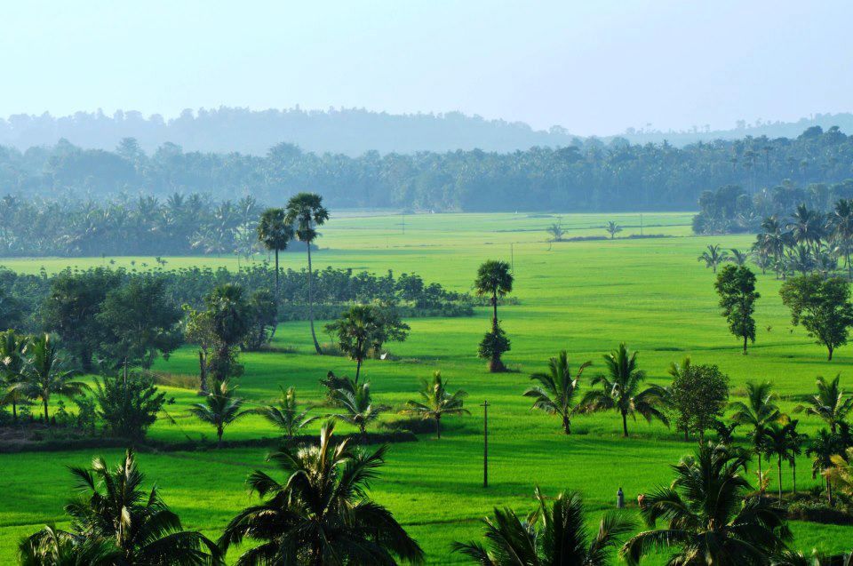 Top Things to do in Palakkad Top Things to do in Palakkad
