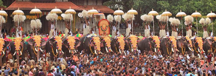 Pariyanampetta Pooram: A 7-Day Cultural Festival in Palakkad Pariyanampetta Pooram: A 7-Day Cultural Festival in Palakkad