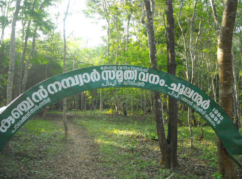 Cahulannur – The Enchanting Home of Kerala’s Peacocks Cahulannur – The Enchanting Home of Kerala’s Peacocks