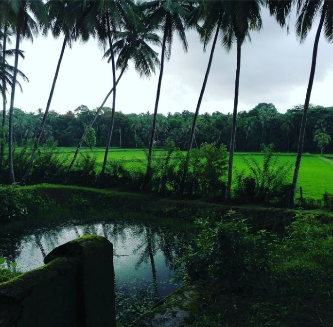 Discover Kottayi Village – Kerala’s Hidden Melody Discover Kottayi Village – Kerala’s Hidden Melody