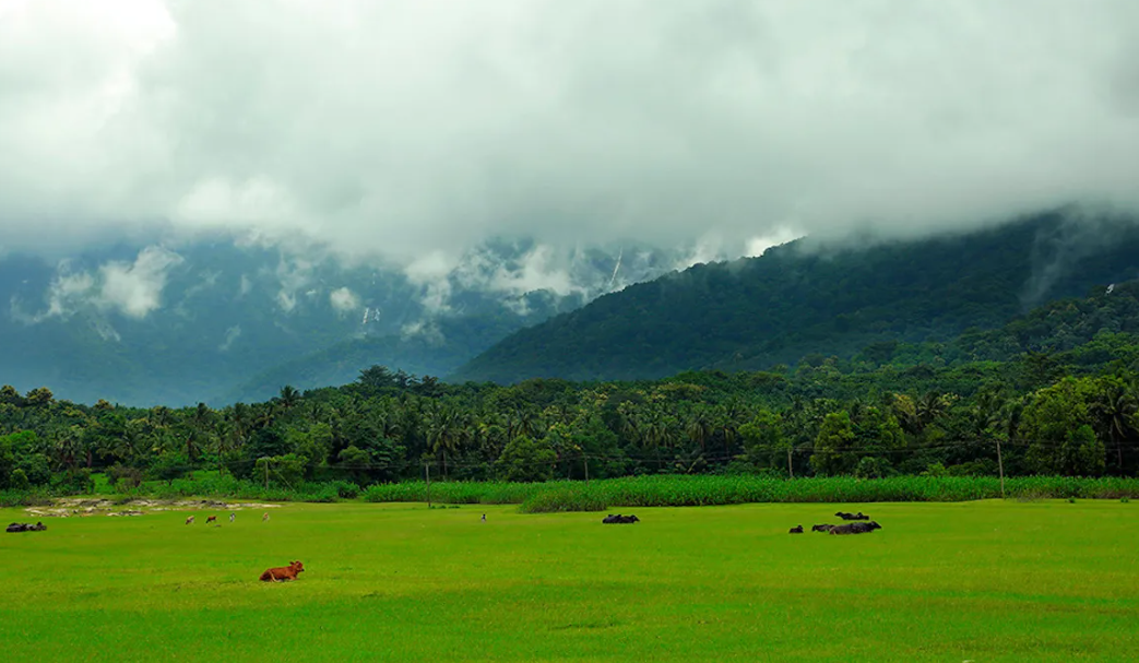 The Economy of Palakkad – A Dynamic Growth Story The Economy of Palakkad – A Dynamic Growth Story