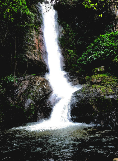 Kadappara Waterfalls – The Untamed Beauty of Palakkad Kadappara Waterfalls – The Untamed Beauty of Palakkad